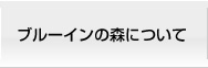 ブルーインの森について